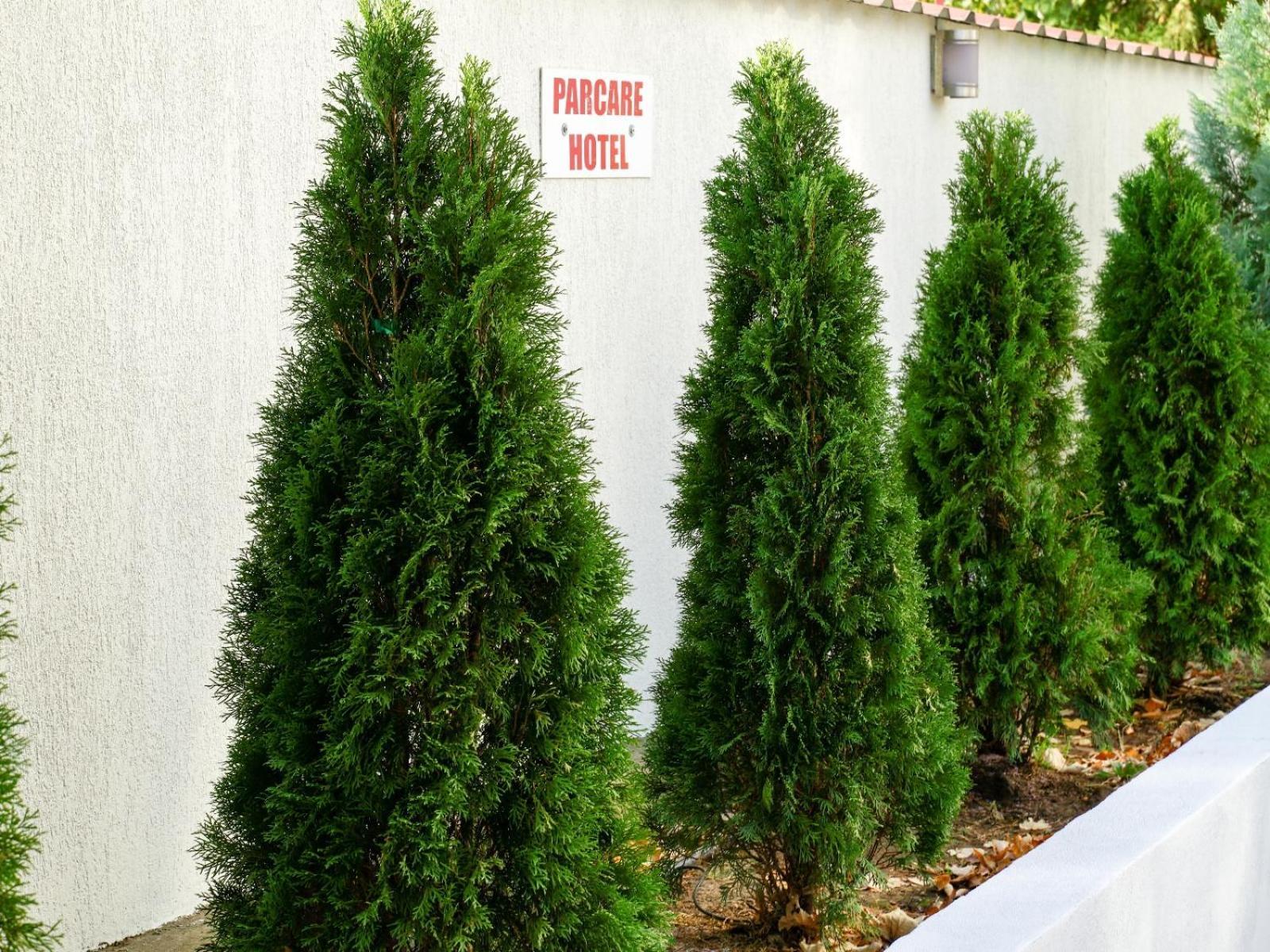 Hotel Criss Bucharest Exterior photo